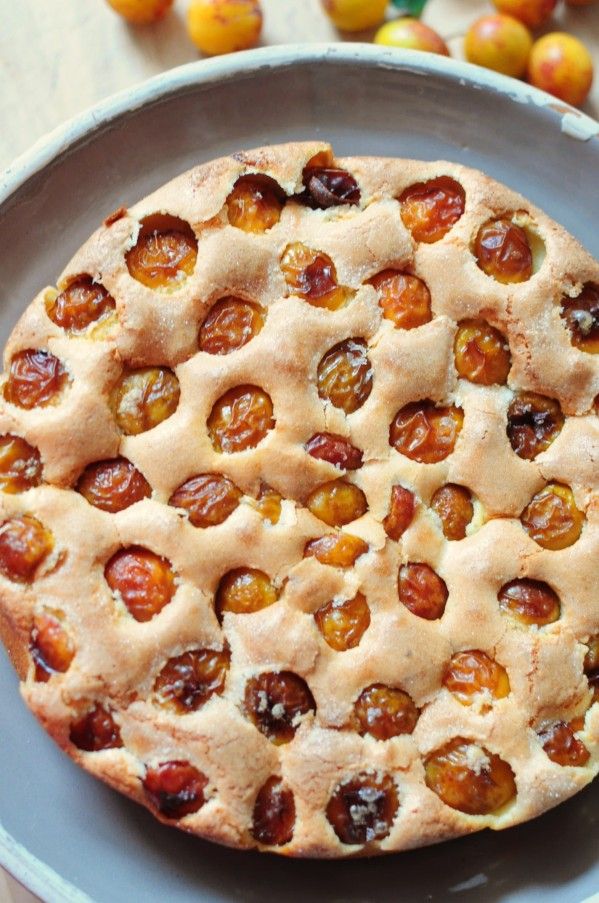 les 25 meilleures idées de la catégorie mirabelle sur pinterest les 25 meilleures idées de la catégorie mirabelle sur pinterest
