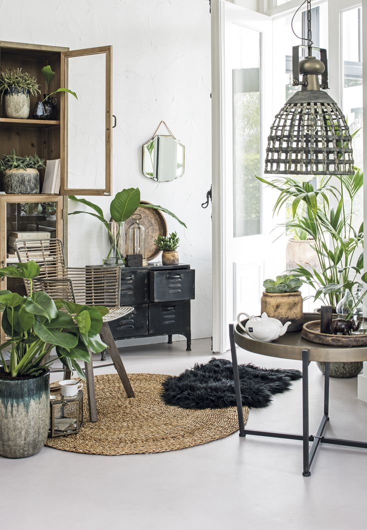 150 best Intratuin | Groen wonen images on Pinterest | Accessoires ... 150 best Intratuin | Groen wonen images on Pinterest | Accessoires ...