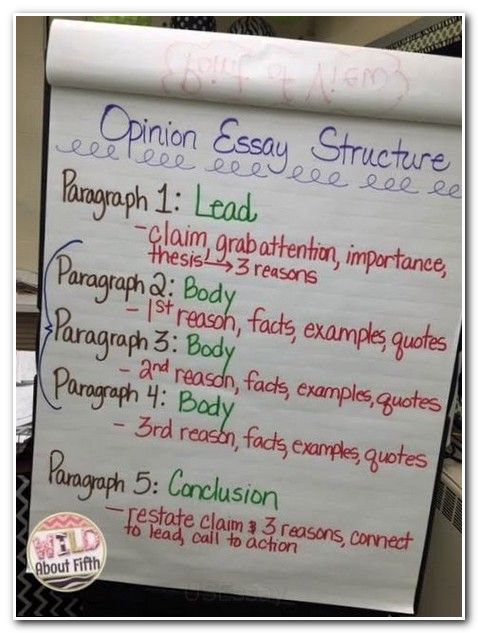 Essay Wrightessay Correct Sentence Checker Free Outline Essay And Responsibility Abortion Complications College Prompts Essay Writing My School Descriptive Narrative Writing Essay On Business Management