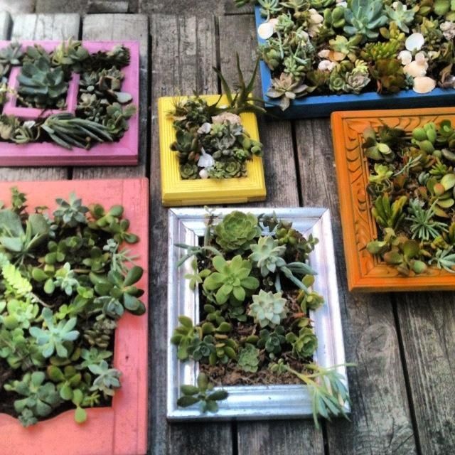 Succulent Wall Art 86 best succulents wall art images on pinterest | succulent wall Succulent Wall Art 86 best succulents wall art images on pinterest | succulent wall