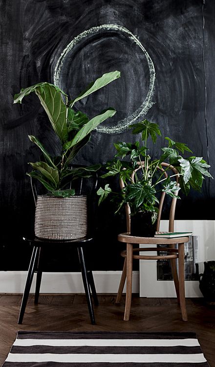 96 best Paredes images on Pinterest At home, Dreams and Famous quotes - chambre de culture cannabis interieur 96 best Paredes images on Pinterest At home, Dreams and Famous quotes - chambre de culture cannabis interieur