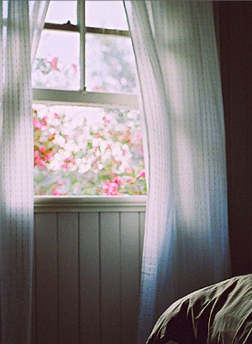 Pin on A Good Morning ☀ Friends Open Window At Morning