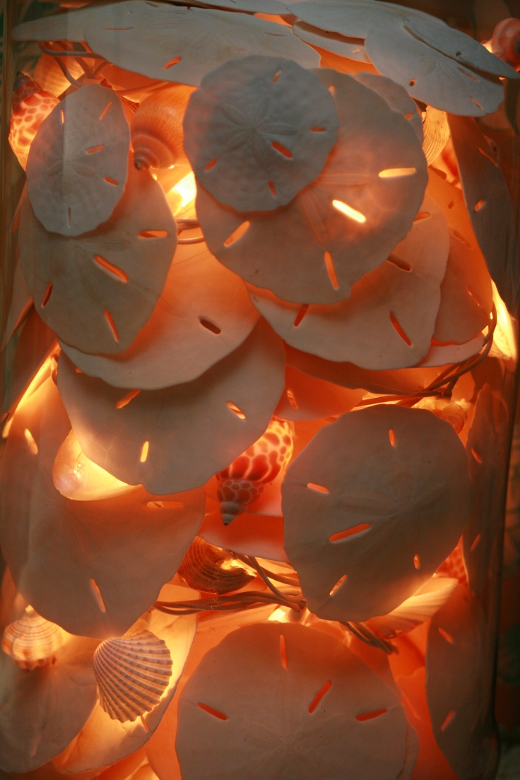 Sand Dollar Light Jar: Found sand dollars and shells (special thank to AC and JW); hot glued ...
