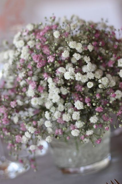 Die besten 25+ Jugendweihe Ideen auf Pinterest Hochzeitsdeko - deko gartenparty grun Die besten 25+ Jugendweihe Ideen auf Pinterest Hochzeitsdeko - deko gartenparty grun