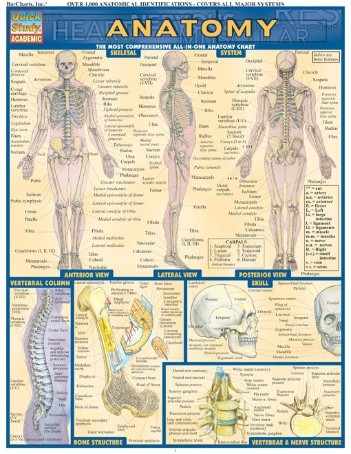 73 Best Nursing And Medicine Images On Pinterest Nursing