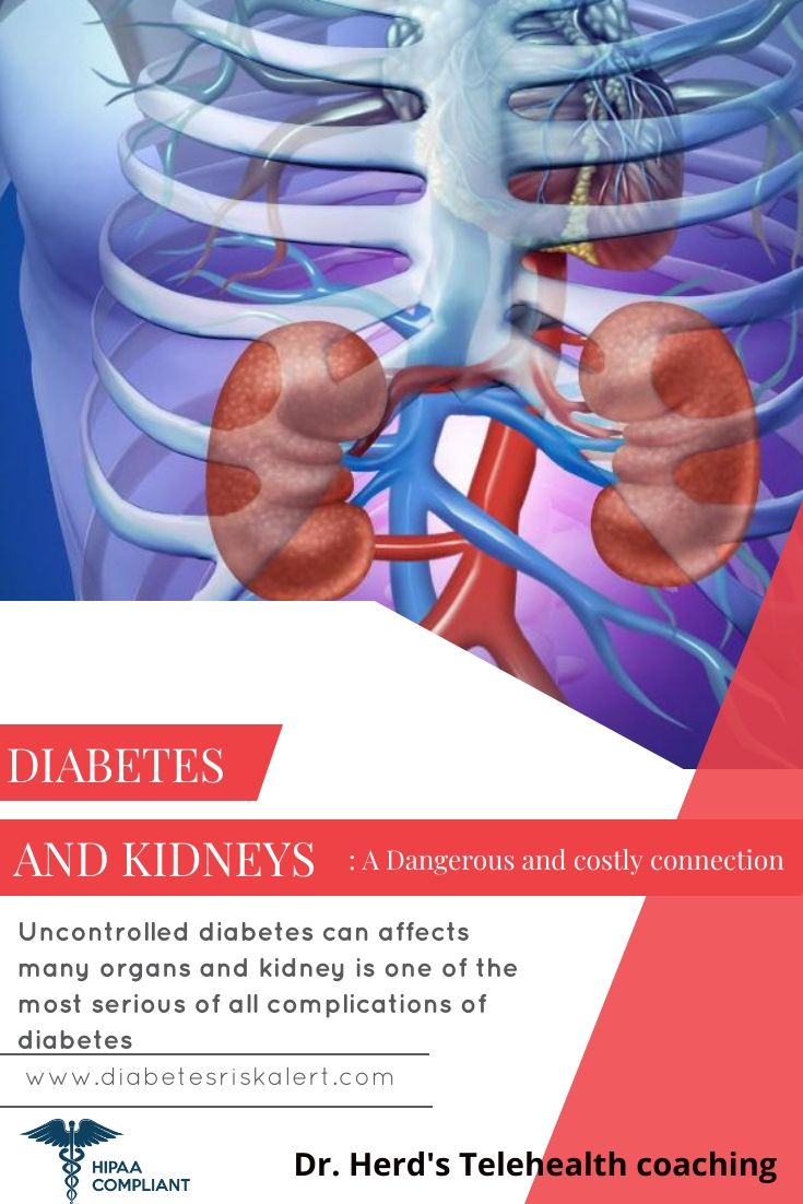 c5828211e7201a70d0cedfd30d25d83b - Can Cat Kidney Failure Be Reversed Can Kidney Damage Be Reversed In Diabetics kidausx