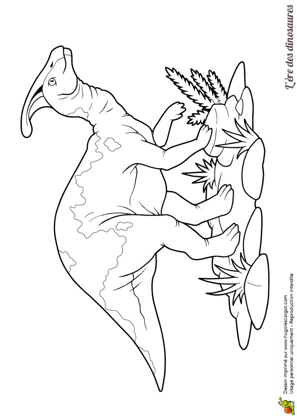 63 best Coloriages de dinosaures images on Pinterest coloriages de dinosaures