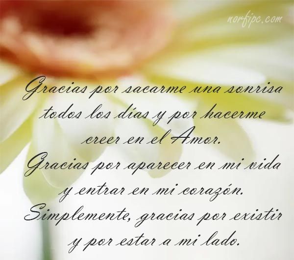 Mensajes De Afecto Y Ternura Para Agradecer A Mi Pareja Por Su Amor Gracias Por Todo Amor Amor Gracias Por Existir Amor