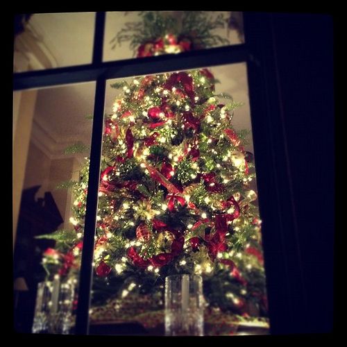 beautiful tree in old town alexandria christmas holiday beautiful tree in old town alexandria christmas holiday