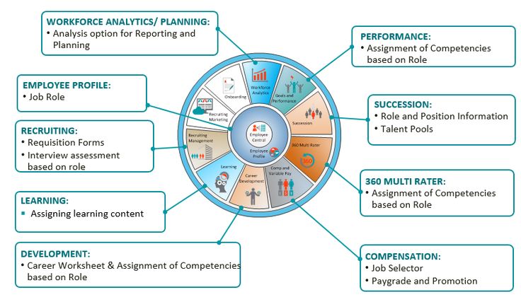 SAP SuccessFactors Platform Components u2013 Part 4 Job Profile - what is requisition SAP SuccessFactors Platform Components u2013 Part 4 Job Profile - what is requisition