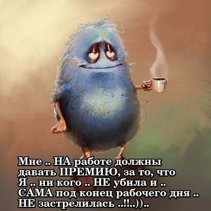 Позитивные Фото С Юмором С Надписями Прикольные Позитивные Фото С Юмором С Надписями Прикольные
