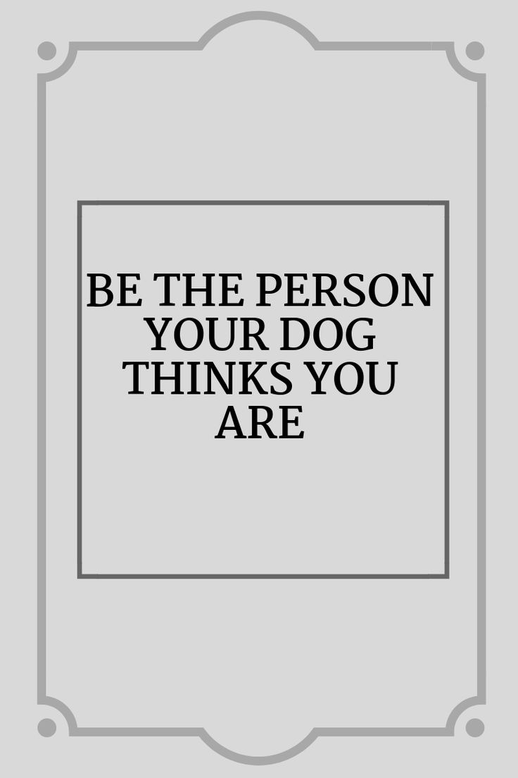 Waggy Tales Dog Quotes Dog Lover Quotes Dog Owners Quotes waggy-tales-dog-quotes-dog-lover-quotes-dog-owners-quotes