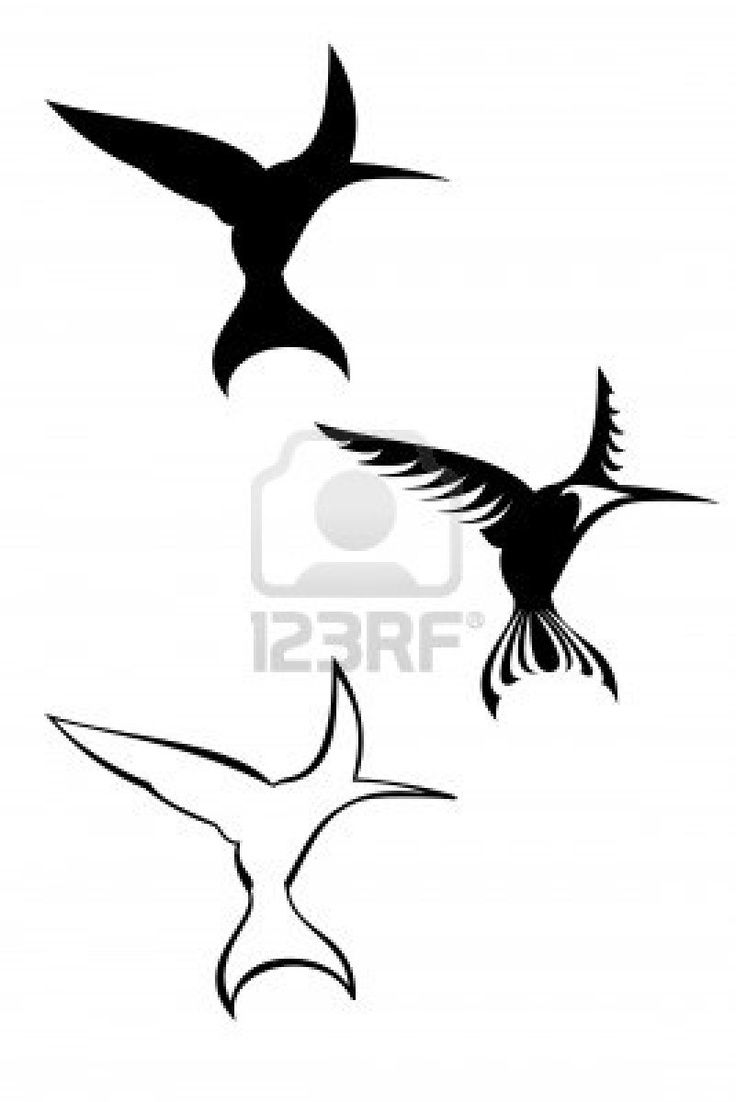 50 best tattoos black bird feeders images on pinterest back 50 best tattoos black bird feeders images on pinterest back