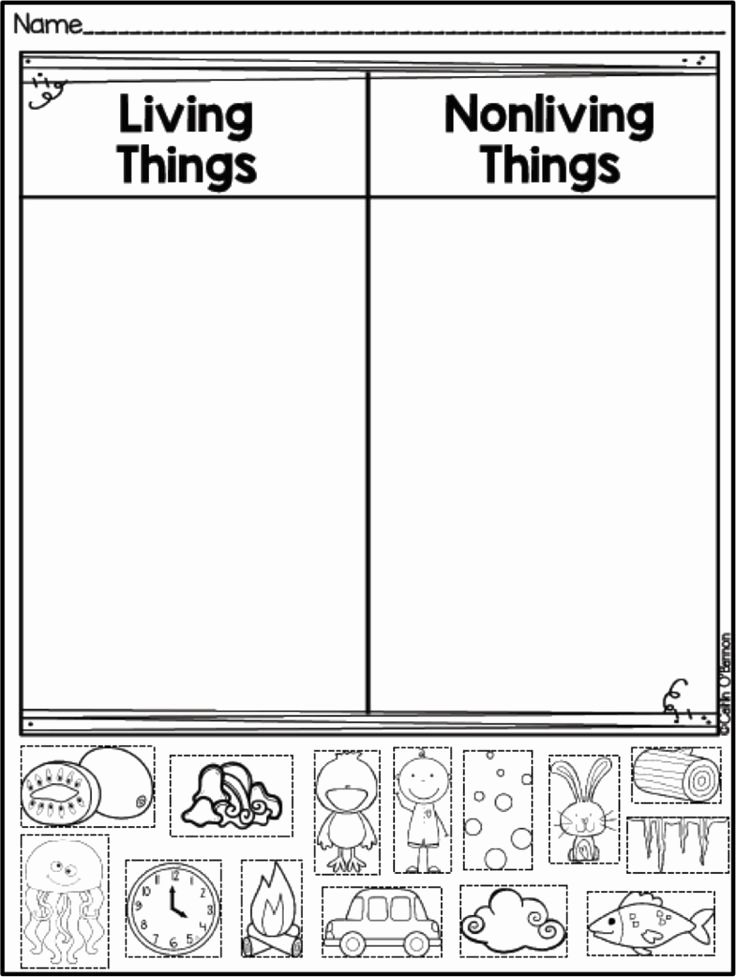 11 Habitat Worksheet Kindergarten Preschool Science Kindergarten Lesson Plans Kindergarten Science