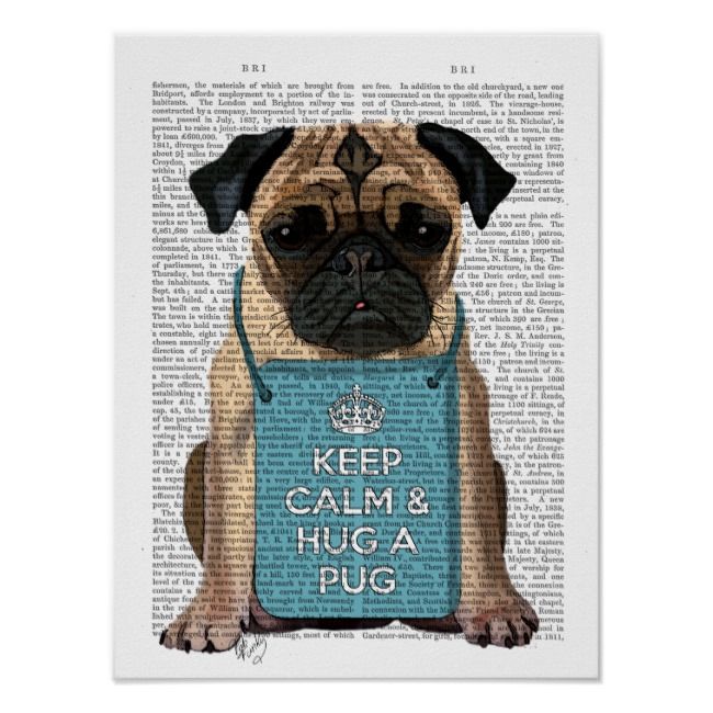 Hug A Pug Poster Zazzle Com Pug Art Pug Illustration Pugs