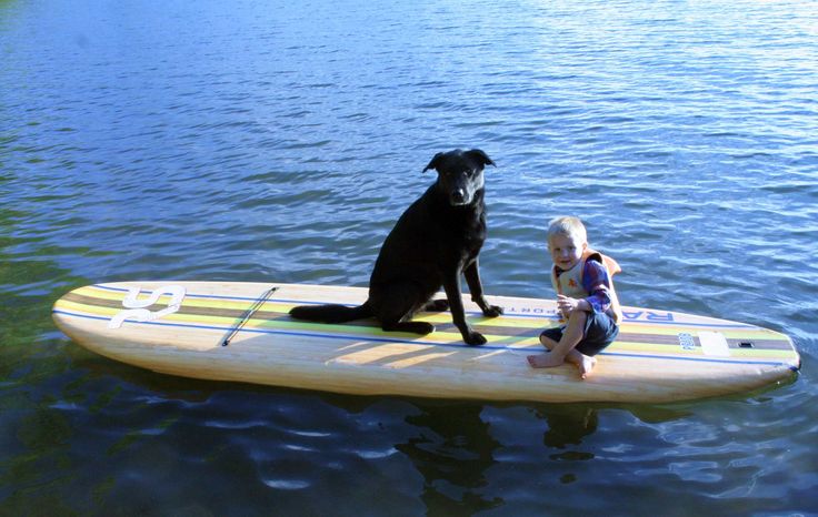 Bamboo Soft Top SUP w/ Paddle & Leg Leash 10' 8" Paddle