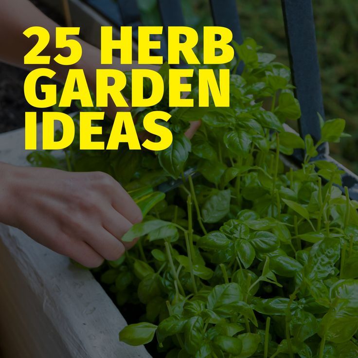 15 Indoor Herb Container Garden Ideas In 2020 Growing Herbs At Home