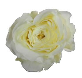 30 best garden roses for the cut flower industry images on pinterest 30 best garden roses for the cut flower industry images on pinterest