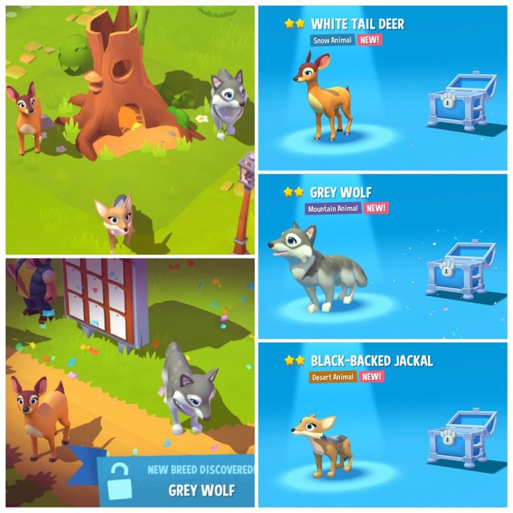 The Game Shows Different Stages Of Playing With Animals the-game-shows-different-stages-of-playing-with-animals
