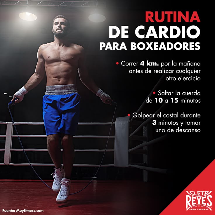 ¿Cuánto Cardio hace un boxeador?