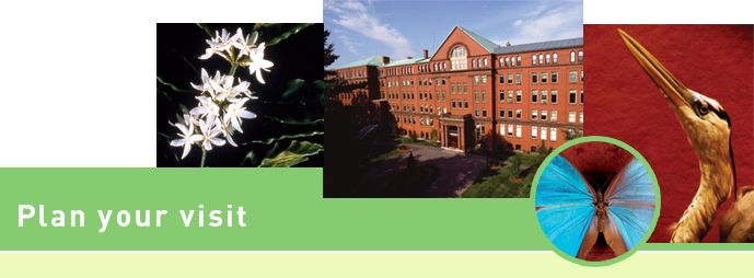 Harvard Museum Natural History Coupon Harvard Museum Natural History Coupon