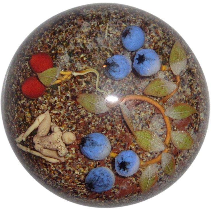 Blueberries partnersuche