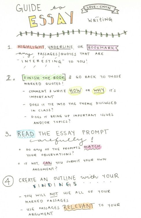 college life experience essay