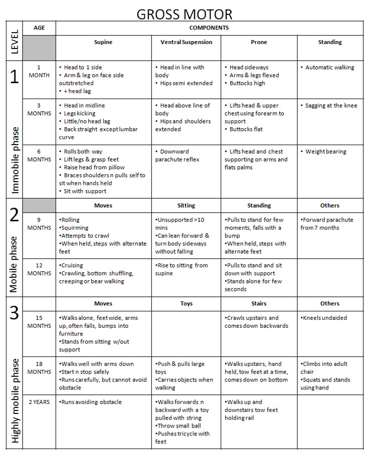 gross motor milestones chart chart2 paketsusudomba co motor charts