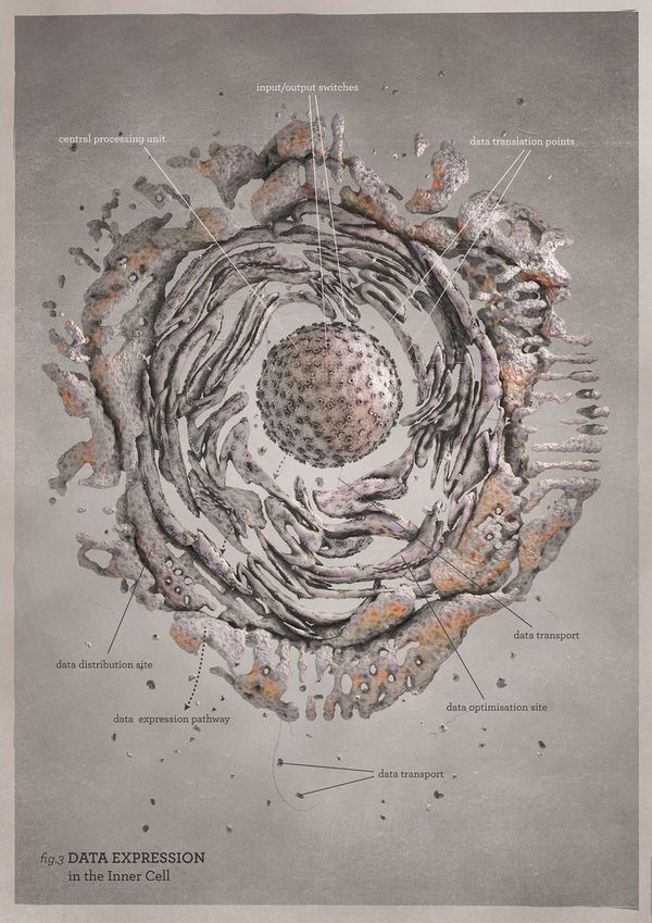 20 best 0-RA symmetrical for blueprint images on Pinterest - copy blueprint start animation 20 best 0-RA symmetrical for blueprint images on Pinterest - copy blueprint start animation