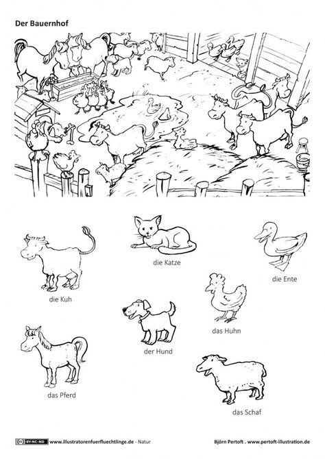 Natur - Bauernhof Haustiere Nutztiere Tiere - Pertoft | Nutztiere, Bauernhof, Bauernhof tiere