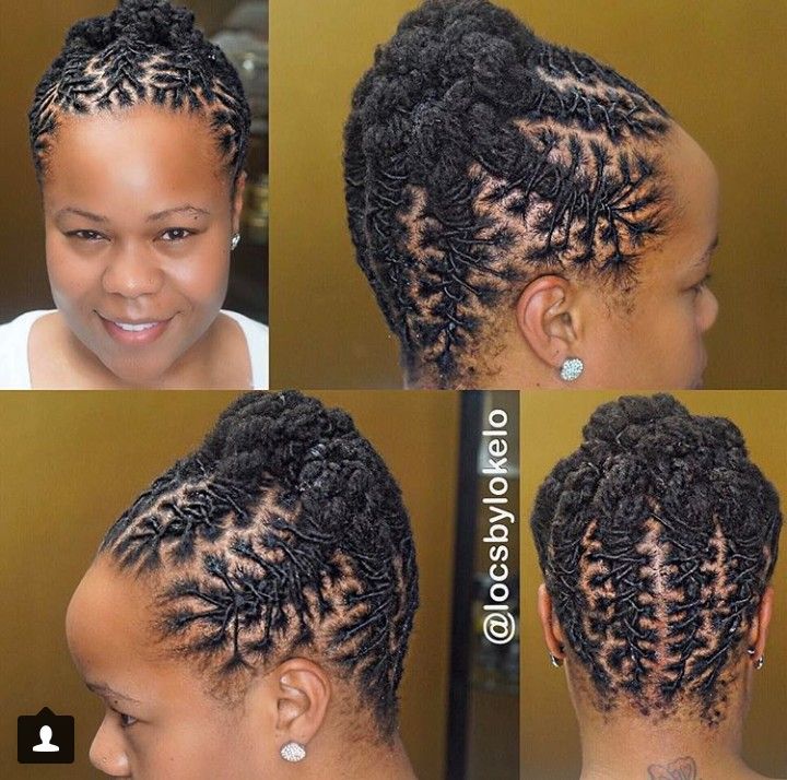 Who Said Short Dreads Can T Be Styled Short Locs Hairstyles Low Ponytail Hairstyles Natural Hair Styles