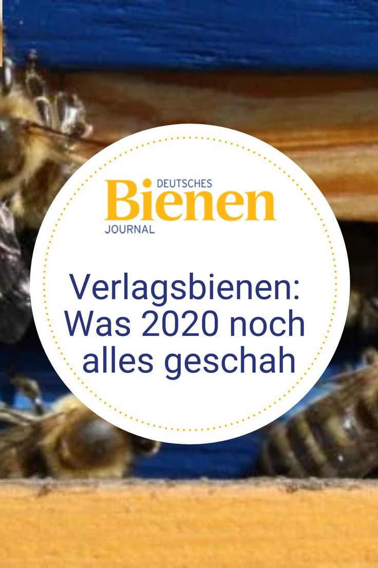Verlagsbienen 2020: Was dieses Jahr noch alles geschah in 2021