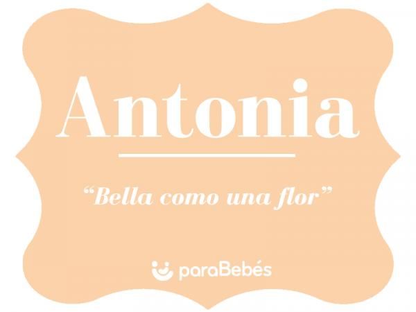 Significado Del Nombre Antonia Origen Personalidad Santoral Popularidad Significados De Los Nombres Origen De Los Nombres Santoral