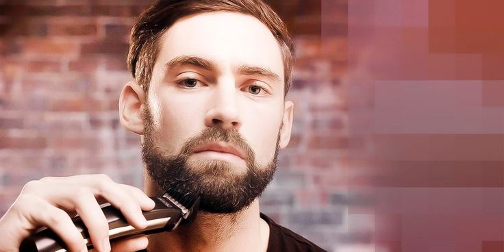 Searching a gift for someone or simply want to take the plunge into the grooming...
