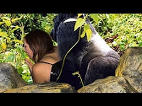 Girls and monkey sex Girls and monkey sex