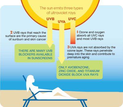Tanning Beds And Vitamin D Absorption Tanning Beds And Vitamin D Absorption