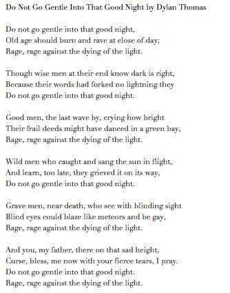 Do not go gentle into that good night analysis essay