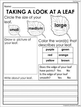 the paragraph essay manifesto