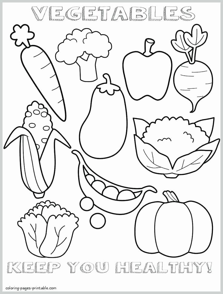 Download Coloring Stuff at Dollar Tree New Adult Color by Number ...