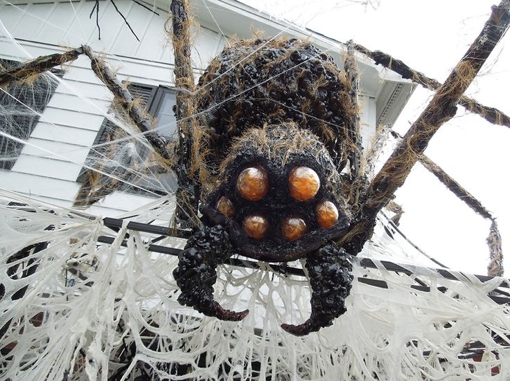mitchells spider prop halloween craftshalloween decorationshalloween