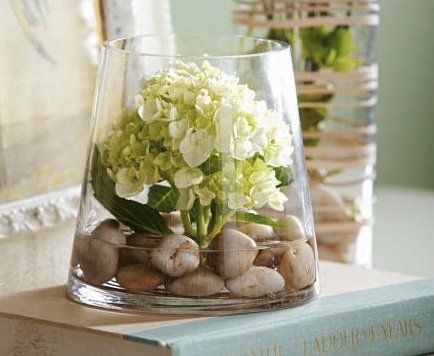 Best 25+ Vase Fillers Ideas On Pinterest Fall Vase Filler Creative DIY Flower Arrangements and Unique Vessels. Budget FlowersHydrangea CenterpiecesVase ... - Best 25+ Vase Fillers Ideas On Pinterest Fall Vase Filler