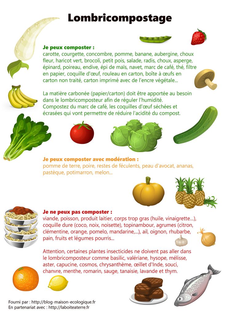 17 best jardinage images on Pinterest Permaculture, Horticulture - que faire en cas d humidite dans une maison 17 best jardinage images on Pinterest Permaculture, Horticulture - que faire en cas d humidite dans une maison
