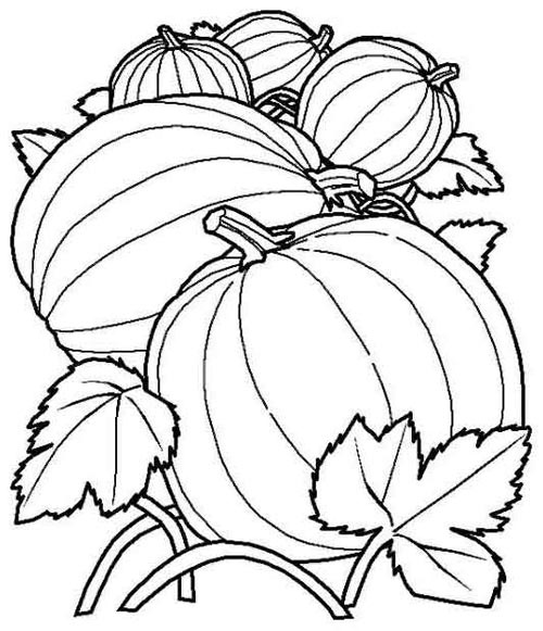 346 best Coloring images on Pinterest Coloring books, Adult - copy coloring pages to print fall 346 best Coloring images on Pinterest Coloring books, Adult - copy coloring pages to print fall