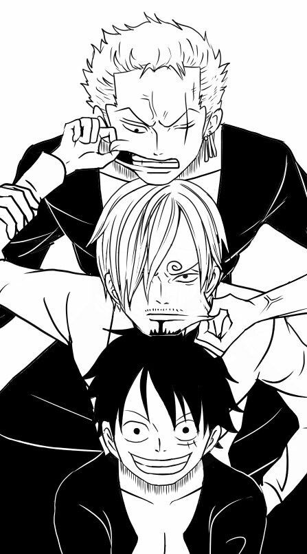 zoro sanji luffy the monster trio one piece pinterest