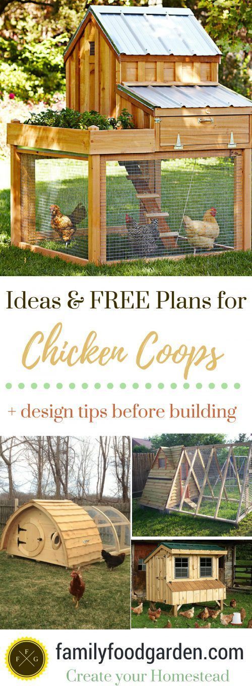 chicken coop plans for the backyard