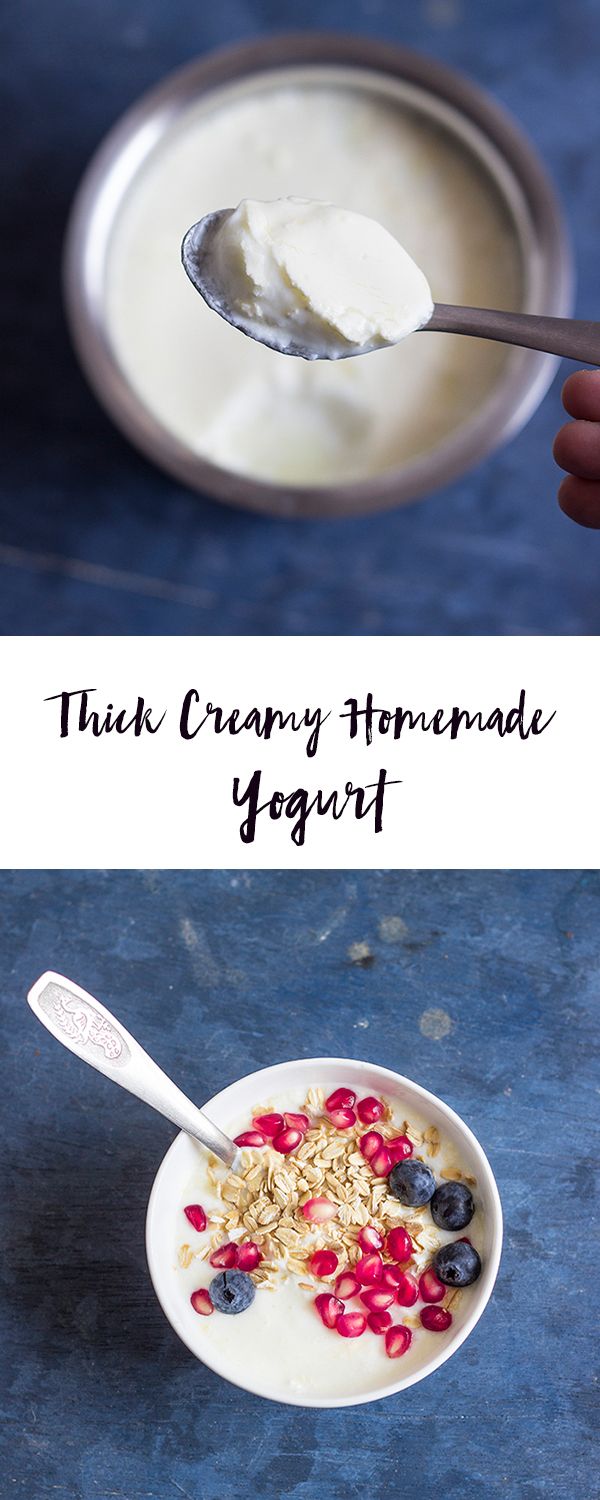Homemade Yogurt Recipe How To Make Thick Creamy Yoghurt At Home Video Recipe Recipe Homemade Yoghurt Recipes Yoghurt Recipe Homemade Yogurt Recipes
