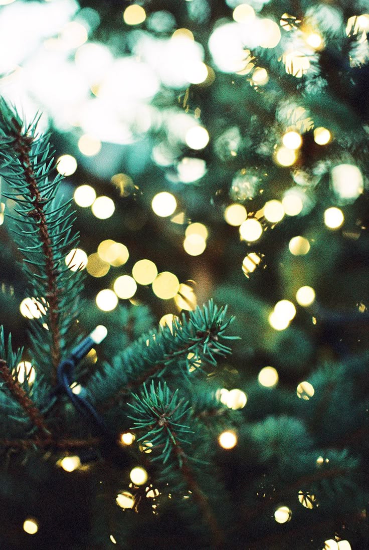 best 25 christmas background ideas on pinterest hippie christmas cards