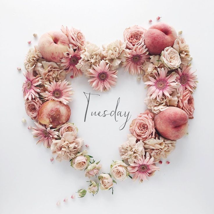 Dienstag Tuesday Dienstag Tuesday