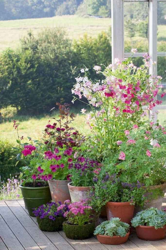 Garden Plants Ideas Garden Plants Ideas
