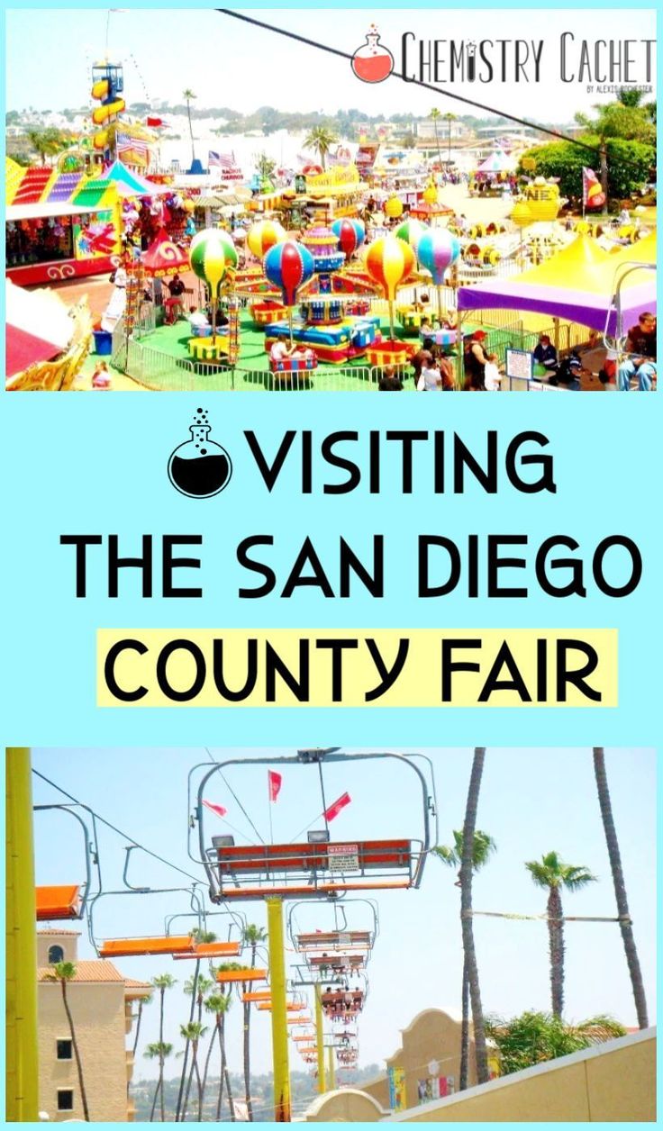Summer Memory San Diego County Fair Adventure San diego county
